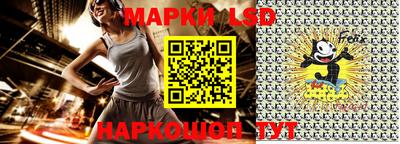 дмт Новокубанск