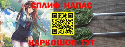 ГАЛЛЮЦИНОГЕННЫЕ ГРИБЫ Новозыбков
