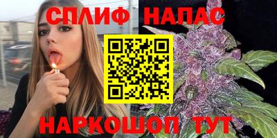 ГАЛЛЮЦИНОГЕННЫЕ ГРИБЫ Новозыбков