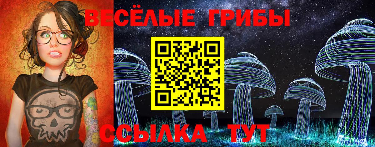 Тихвин  Галлюциногенные грибы Cubensis  как найти закладки  Вход с VPN 